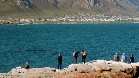 Turistas-A-Pocos-Metros-De-Las-Ballenas-Francas-Australes---Avistamiento-De-Ballenas-En-Hermanus,-Walker-Bay,-Sudáfrica