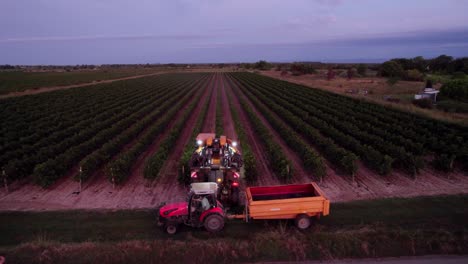 Farmers-work-hard-in-the-early-morning-in-southern-France