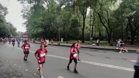 Foto-De-Un-Grupo-De-Corredores-Del-Maratón-De-La-Ciudad-De-México-2022-En-El-Bosque-De-Chapultepec-Por-La-Mañana