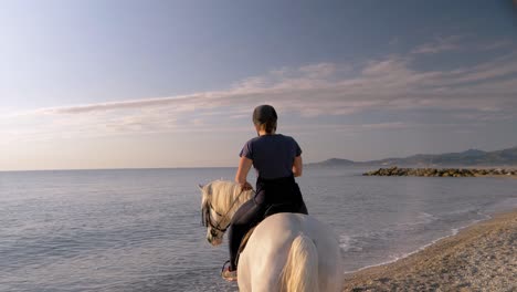 Tracking-shot-of-woman-riding-horse-into-water-of-ocean-during-sunset---cooling-in-cold-water---slow-motion