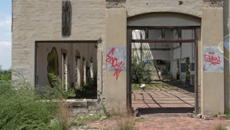 Panning-shot:-Large-abandoned-brick-building-with-graffiti-on-walls