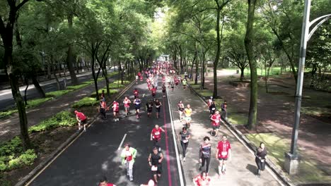 Fixe-Drohnenaufnahme-Der-Läufer-Des-Mexiko-City-Marathons,-Während-Sie-Die-Allee-Paseo-De-La-Reforma-Entlang-Laufen