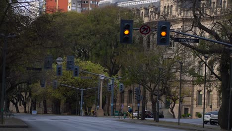 Yellow-traffic-lights-flash-on-an-empty-avenue