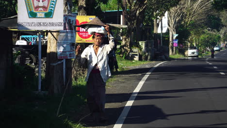 Old-Southeast-Asian-farmer-lady-carrying-fresh-grains-on-head,-walking-on-the-side-of-a-road
