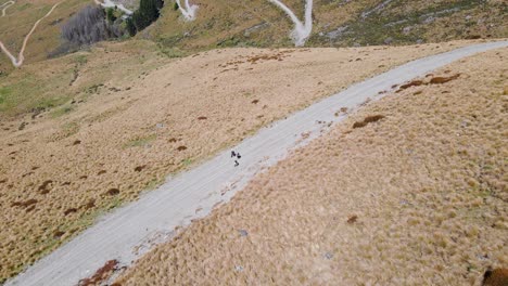 Hikers-on-their-way-up-a-curved-road-on-dry,-bushy-mountainside-in-New-Zealand-countryside