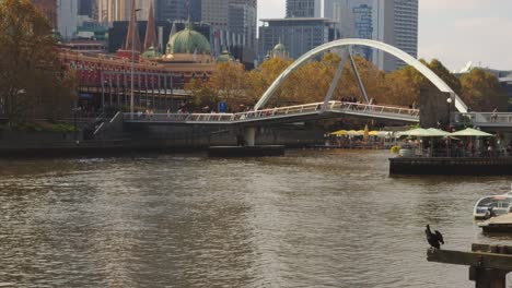 Gente-Disfrutando-De-Un-Día-De-Otoño-En-La-Comisaría-De-Southbank-De-Melbourne