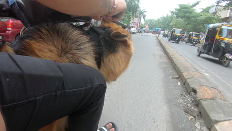 Mumbai,-Maharashtra,-Indien-1.-September-2022:-Machen-Sie-Mit-Dem-Deutschen-Schäferhund-Einen-Spaziergang-Zum-Strand-Auf-Einem-Motorrad