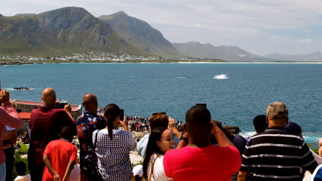 Tourists-in-Hermanus-watching-a-whale-breach---scenic-coastal-town,-South-Africa