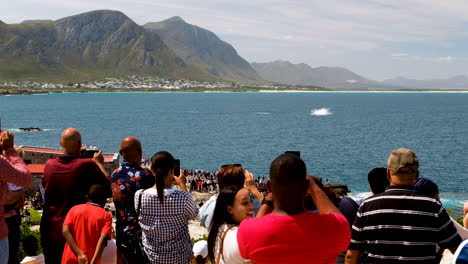 Turistas-En-Hermanus-Viendo-Una-Brecha-De-Ballenas---Pintoresca-Ciudad-Costera,-Sudáfrica