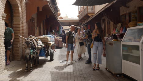 Working-Mule-Wartet,-Während-Menschen-Auf-Den-Straßenmärkten-In-Marrakesch-Einkaufen