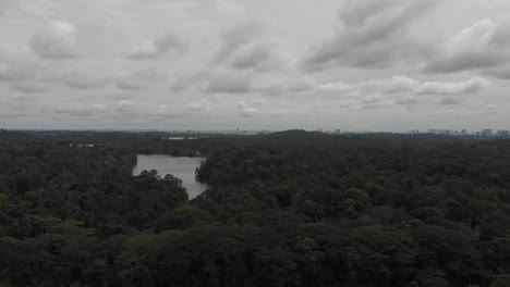 Bosque-De-Drones-De-4.000-Metros-A-Lo-Largo-Del-Horizonte