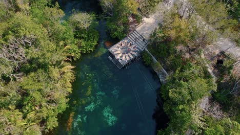 Grupo-De-Personas-Caminando-Alrededor-De-Un-Círculo-De-Colchonetas-De-Yoga-En-Un-Cenote-Ubicado-En-Riviera-Maya