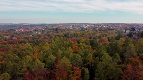 Luftaufnahme-Eines-Tschechischen-Dorfes,-Umgeben-Von-Herbstlichen-Wäldern-Mit-Blauem-Himmel