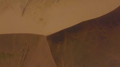 Birds-eye-view-drone-shot-of-a-dune-in-the-Namib-desert-in-Namibia---drone-is-ascending-top-down