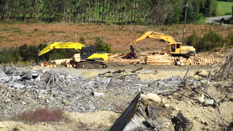 Log-loaders-stopped-in-deforestation-area,-New-Zealand