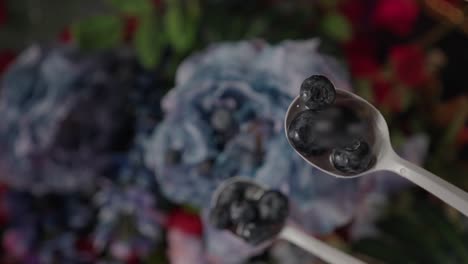 Blueberries-falling-onto-white-spoon-and-bouncing-off-blue-flower