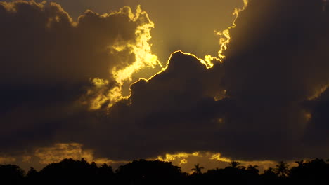 Hintergrundbeleuchtete-Wolken-In-Bewegung-über-Silhouettierten-Bäumen-In-Südflorida,-U