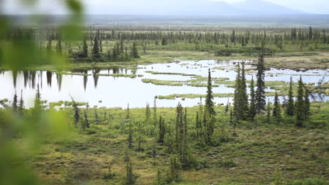 Trees-Reflect-Off-of-Serene-Lake-in-Alaska-Wilderness