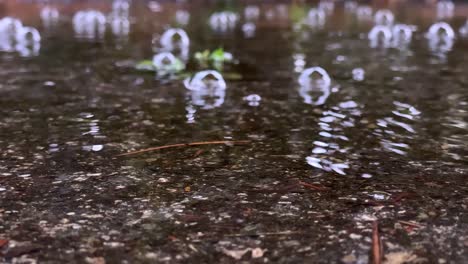 A-puddle-with-slowly-floating-rain-bubbles