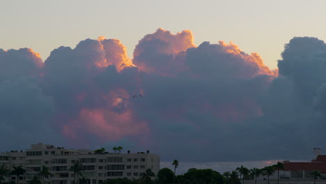 Los-Pájaros-Vuelan-Más-Allá-De-Las-Nubes-Vibrantes-Al-Amanecer-En-El-Sur-De-Florida,-U