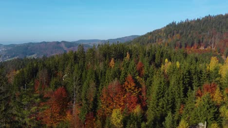 aerial-view-of-a-colourful-autumnal-forest-in-a-hilly-landscape,-sunny