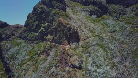 Antena-Sobre-Ruta-De-Senderismo-En-Madeira-Portugal-Retrocediendo-Para-Mostrar-Una-Gran-Montaña