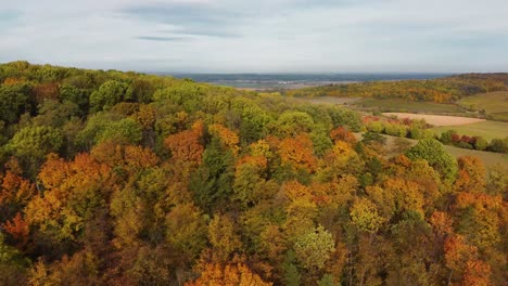 Kreist-über-Einem-Herbstlichen-Mischwald-Auf-Einer-Anhöhe-Mit-Feldern-Und-Dörfern-Im-Hintergrund