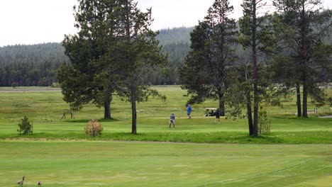 Group-Of-Golfers-Playing-At-Golf-Course-At-Daytime