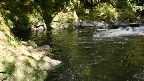 Agua-Que-Fluye-Del-Río-Natural-En-El-Parque-De-Conservación-Wirinaki-Te-Pua-a-tane,-Nueva-Zelanda