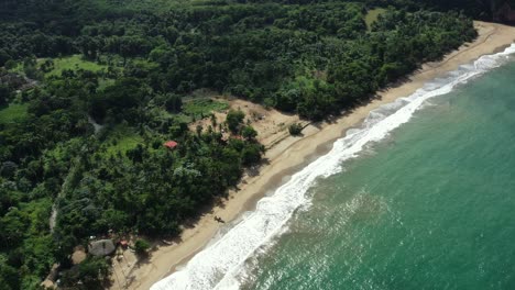 Aerial-top-down-shot-of-tropical-sandy-beach-with-beautiful-water-of-Atlantic-Ocean-next-to-green-rural-forest-landscape-in-summer---Playa-El-Valle,Dominican-Republic