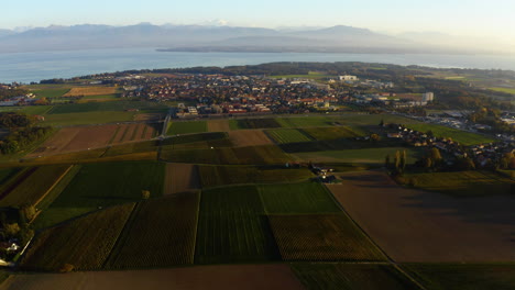 Campos-Agrícolas-En-La-Ciudad-De-Gland-Con-El-Lago-De-Ginebra-Y-Los-Alpes-Suizos-En-El-Fondo,-Vaud,-Suiza---Toma-Aérea-De-Drones