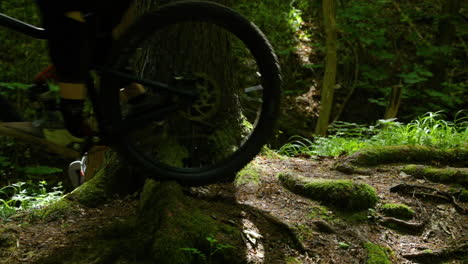 A-close-up-view-of-a-mountain-bike-passing-through-tree-roots-on-a-sunny-day