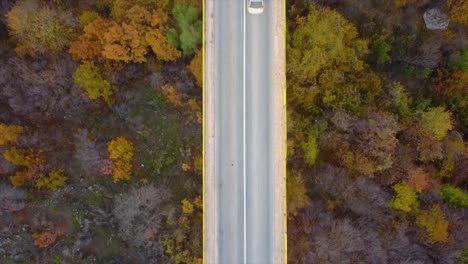 Car-moving-on-a-bridge-above-a-forest-aerial-view
