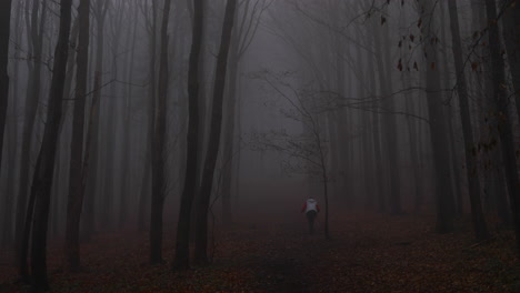 Fog-in-the-middle-of-a-forest-road-surrounded-by-tall-trees-and-a-woman-going-uphill