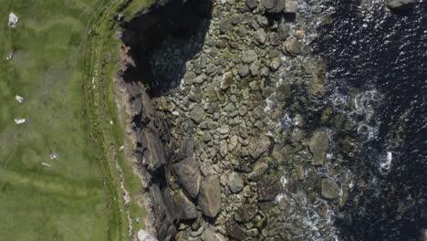 AERIAL---Cliffs-and-green-hills,-Dingle,-County-Kerry,-Ireland,-forward-top-down