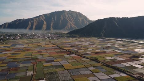 drone-shot-from-high-up-above-making-a-slow-left-move-over-the-strawberry-fields-of-Sembalun,-Lombok-Indonesia-in-4k