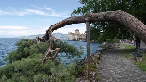 Wonder-Tree-Fachada-En-El-Lago-De-Ginebra,-El-Castillo-De-Chillon,-Suiza