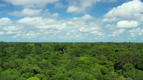 Amazing-thick-Amazon-jungle-rainforest,-rising-aerial-view-over-treetops