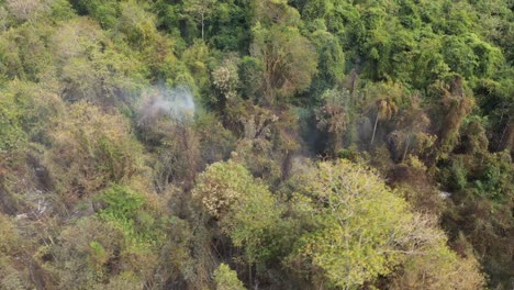 Trockenes-Gebiet-Und-Rauch-In-Der-Vegetation-Im-Staat-Sao-Paulo-In-Brasilien-Drohne-Geschossen