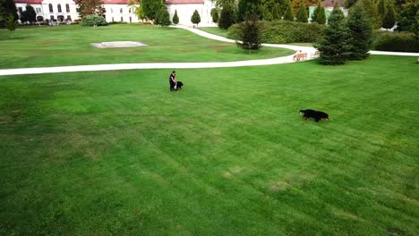 Vista-Aérea-De-Un-Entrenador-De-Obediencia-Enseñando-Comandos-A-Dos-Perros-Berneses-En-Un-Parque-De-La-Ciudad