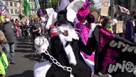 Rebelión-De-Extinción-Manifestantes-Contra-El-Cambio-Climático-Vestidos-Como-Alicia-En-El-País-De-Las-Maravillas-Y-El-Conejo-Blanco,-Sosteniendo-Una-Pancarta-Que-Dice-&quot;más-Y-Más-Furioso&quot;-Marchan-Frente-Al-Parlamento-En-Londres-En-Un-Día-Soleado