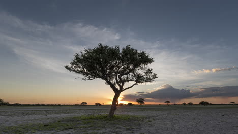 Ein-Einsamer-Baum-Mit-Wunderschönem-Sonnenuntergang-Und-Wolkenfetzen-über-Der-Kalahari-wüste-In-Südafrika