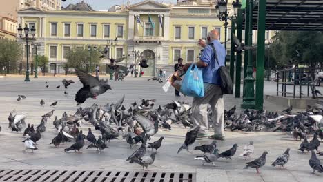 Una-Bandada-De-Palomas-En-Una-Plaza-En-El-Centro-De-La-Ciudad-De-Atenas-Grecia