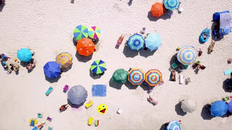 Aerial-top-down-shot-of-people-and-umbrellas-on-a-white-sand-beach-at-windy-day