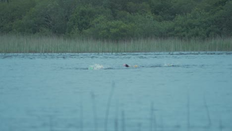 Gruppe-Von-Drei-Freiwasserschwimmern,-Die-Auf-Dem-Fluss-Schwimmen