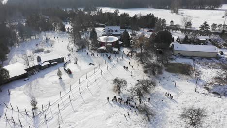 Weihnachtliche-Themenveranstaltung-Mit-Zug,-Der-Schlitten-Zieht,-Und-Leuten,-Die-Hirsche-Streicheln