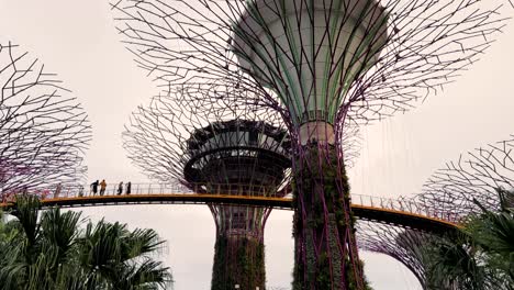 Turistas-Viendo-Los-Hermosos-Superárboles-Desde-La-Baranda-En-Los-Jardines-Junto-A-La-Bahía-En-Singapur-Durante-El-Día---Tiro-Inclinado-Hacia-Arriba