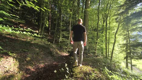 man-walks-in-forest-alone-on-sunny-summer-afternoon,-behind-dolly-shot