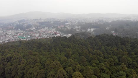 drone-shot-of-forest-and-city-in-the-background
