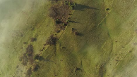 Grassland-during-a-foggy-day.-Aerial-top-down